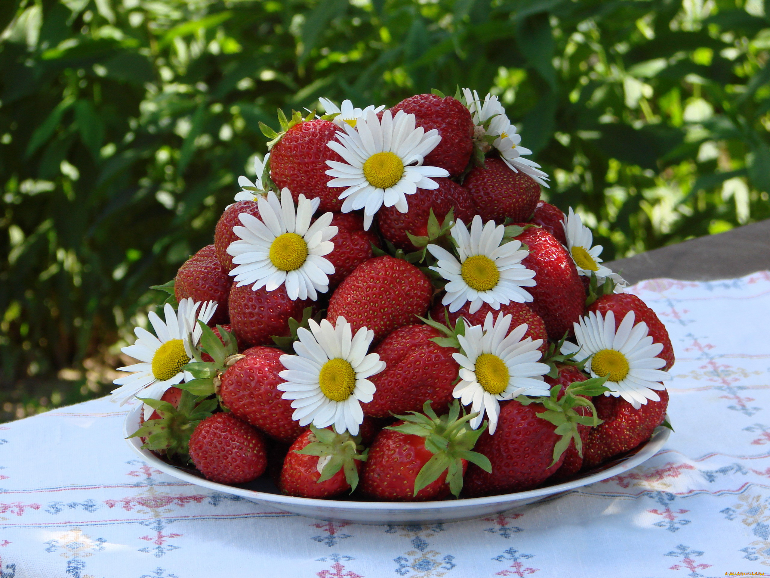 Полевые цветы и клубника